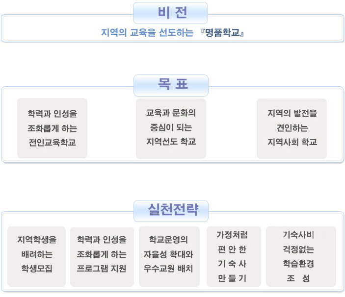 비전,목표,실천전략