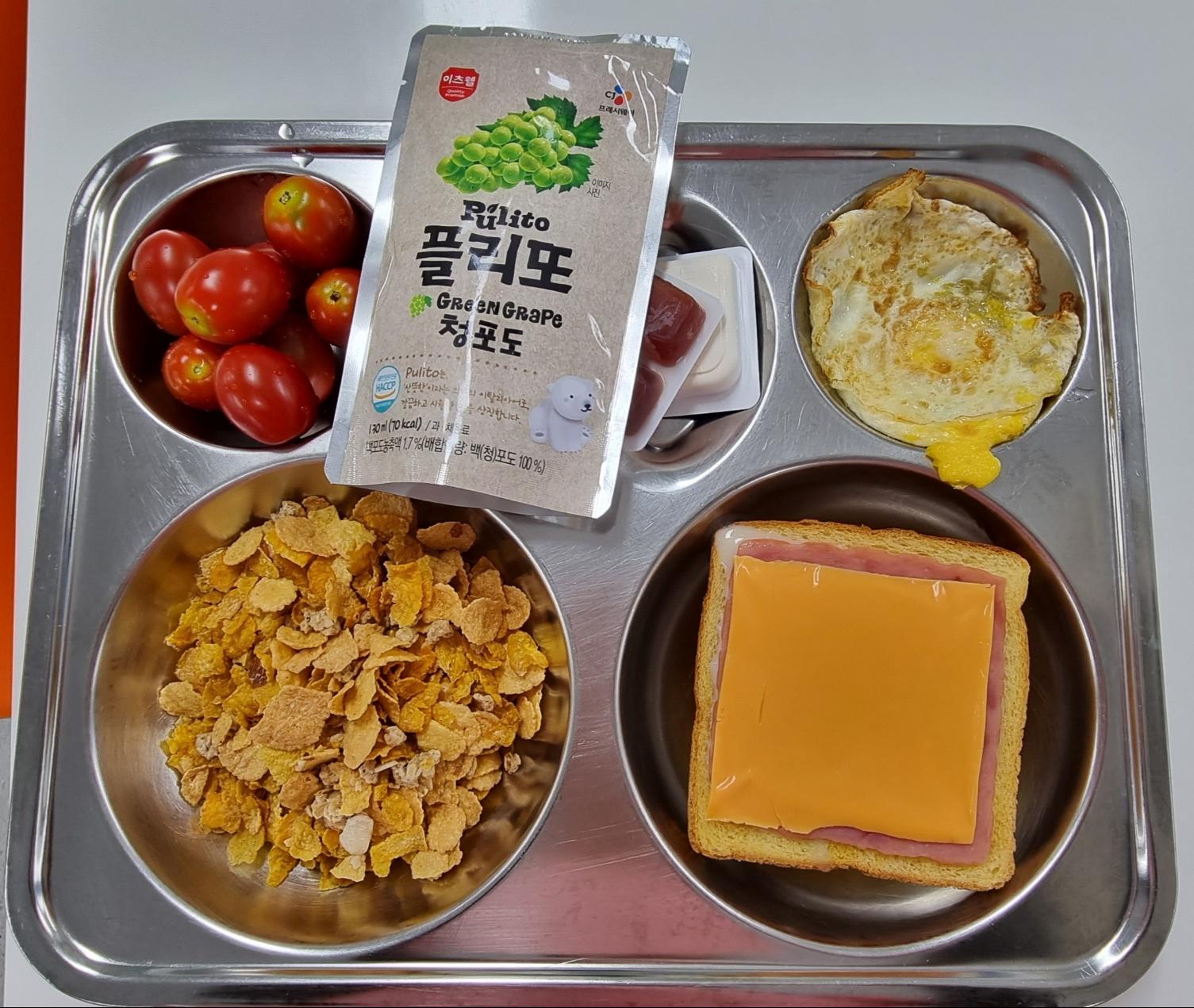 8월 10일 사진