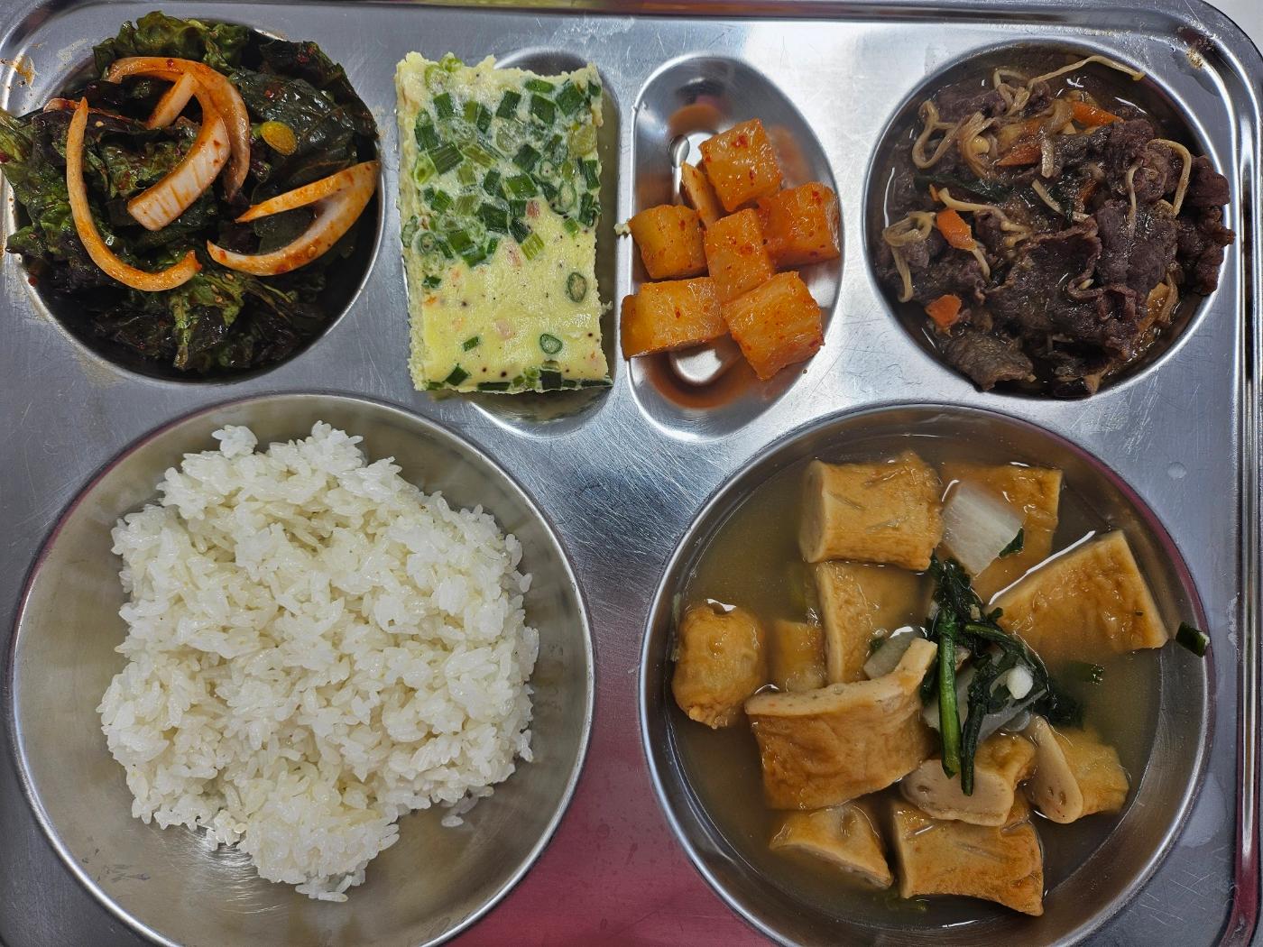 4월 9일 사진
