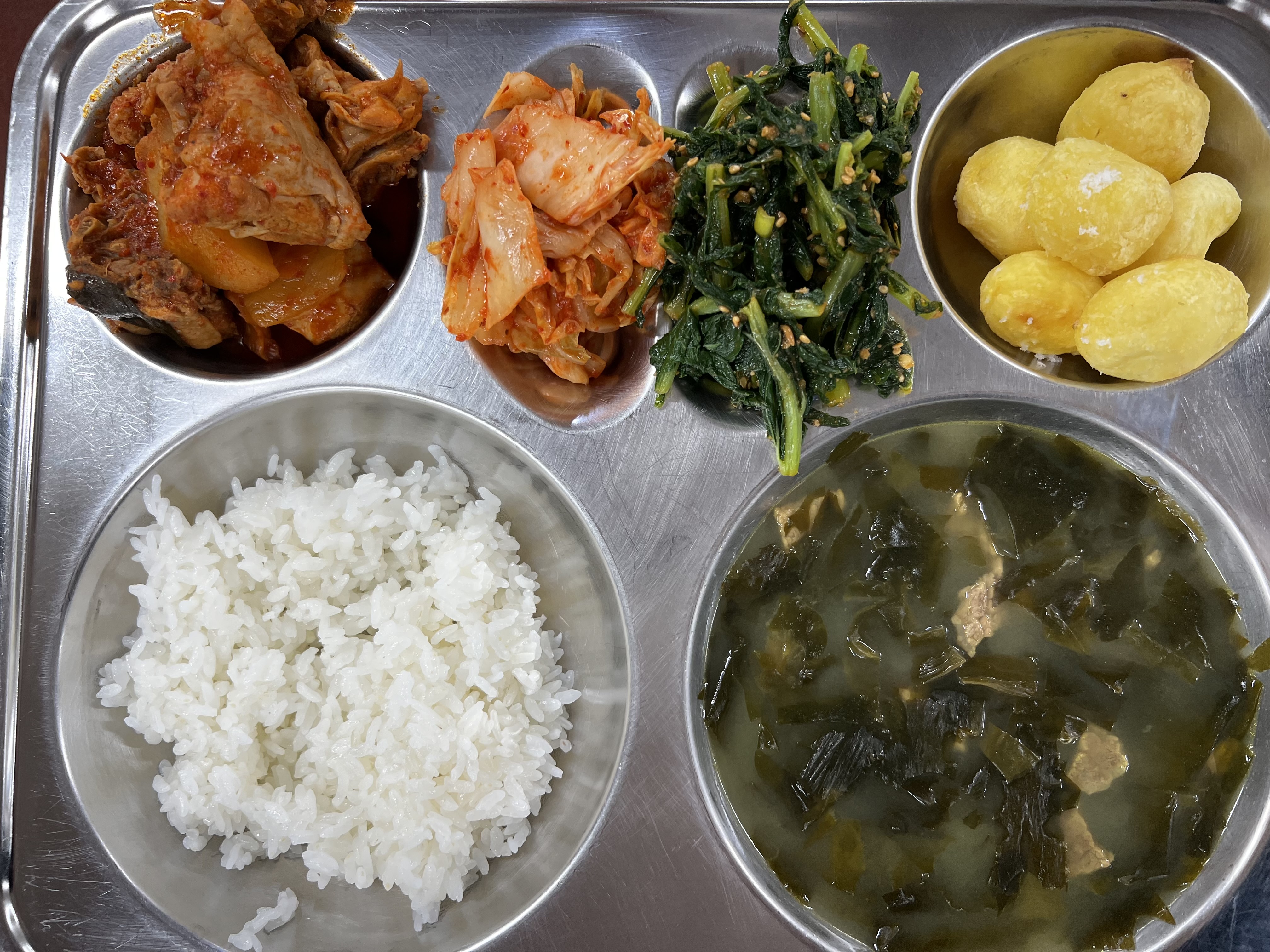 6월 5일 사진